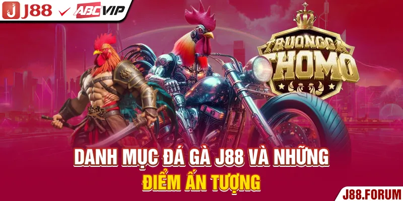 Đá Gà J88 - Mãn Nhãn Cùng Những Giải Đấu Đầy Căng Thẳng Danh mục đá gà J88 và những điểm ấn tượng