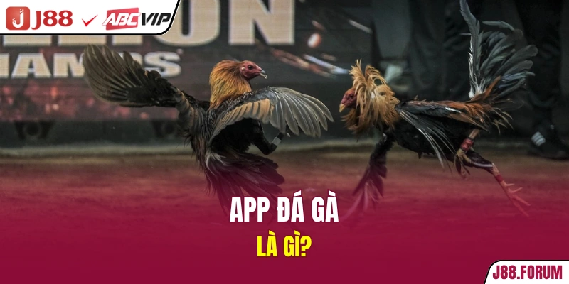 App Đá Gà Uy Tín - Trải Nghiệm Siêu Mượt Mà, An Toàn App đá gà là gì?