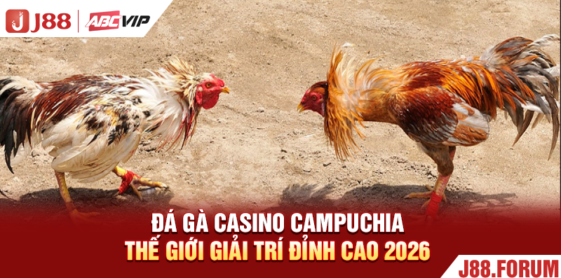 Đá Gà Casino Campuchia - Thế Giới Giải Trí Đỉnh Cao 2026 Đá Gà Casino Campuchia - Thế Giới Giải Trí Đỉnh Cao 2026