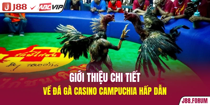 Đá Gà Casino Campuchia - Thế Giới Giải Trí Đỉnh Cao 2026 Giới thiệu chi tiết về đá gà casino Campuchia hấp dẫn